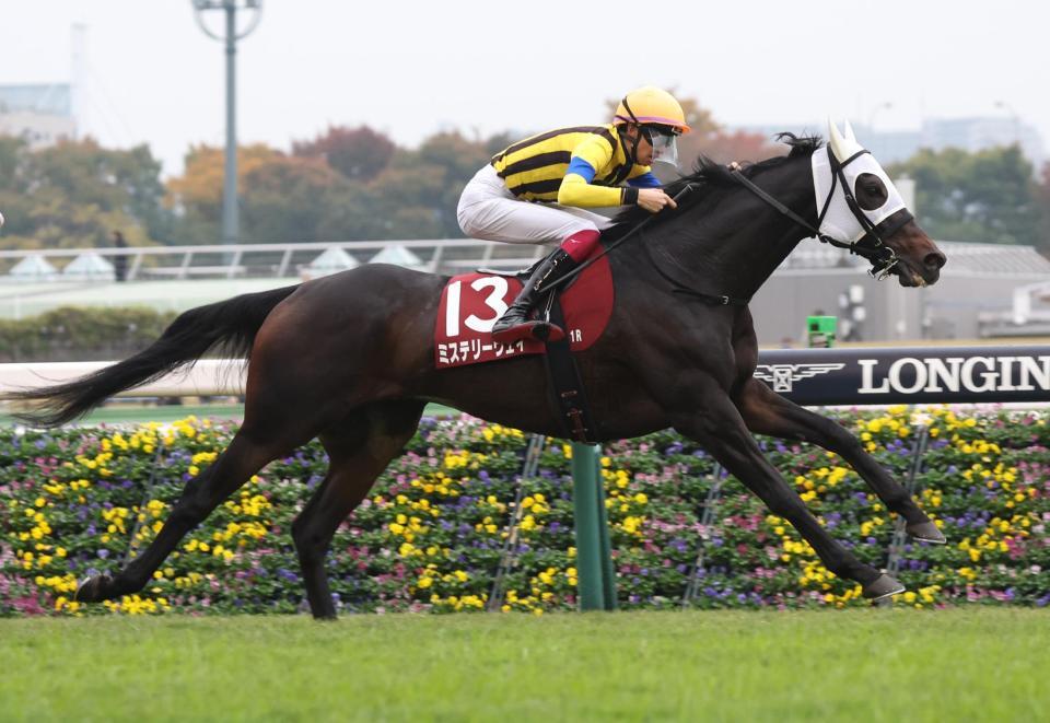 　アルゼンチン共和国杯を勝利したミステリーウェイ