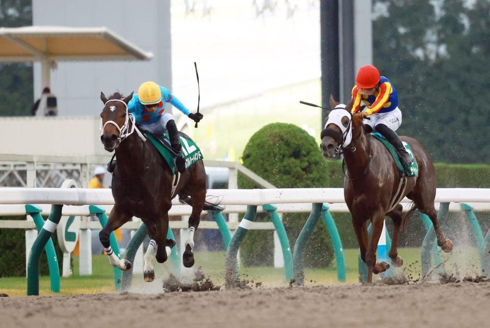 　レコードをたたき出したダブルハートボンド（左）＝撮影・石湯恒介