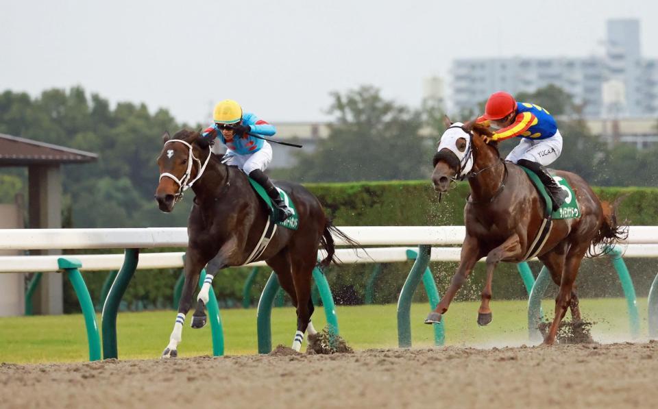 　レコードをたたき出したダブルハートボンド（左）＝撮影・石湯恒介