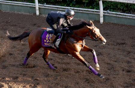 　アドマイヤズーム