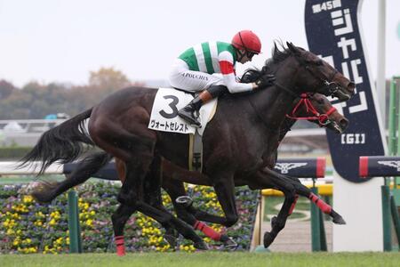 【新馬戦】ヴォートセレスト　瞬発力発揮し初陣Ｖ　プーシャン「集中して走れた」将来性に期待
