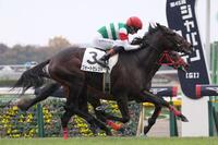 　アイムインを差し切ったヴォートセレスト（手前）