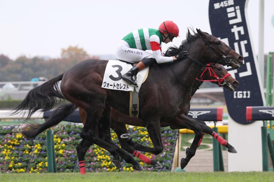 　アイムインを差し切ったヴォートセレスト（手前）