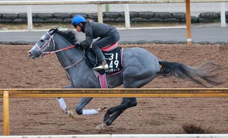　デビュー３連勝で重賞連勝を狙うキャンディード