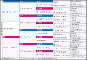 　ヴェルミセルの５代血統表