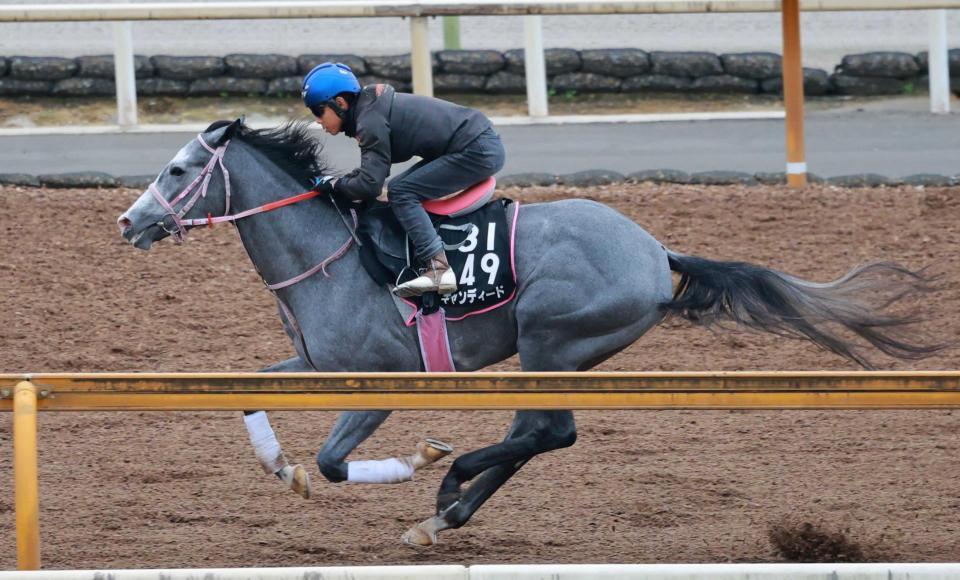 　デビュー３連勝で重賞連勝を狙うキャンディード