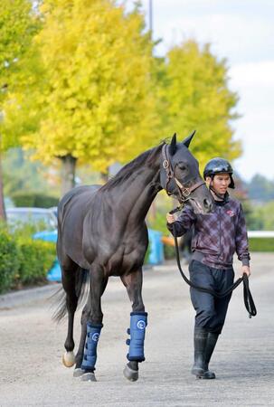 　栗東トレセンに帰厩したクロワデュノール