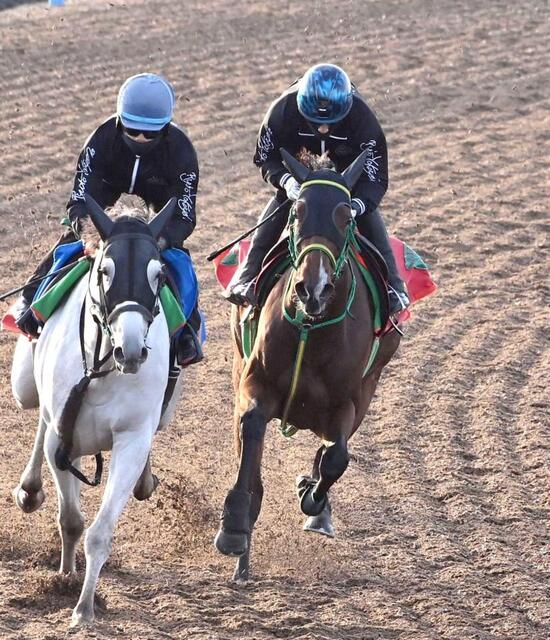 競馬　ラッキーライラック　エリザベス女王杯　セット　未使用　タグつき エリザベス女王杯】ライラック 悲願のG1奪取へ 6歳馬に衰えなし