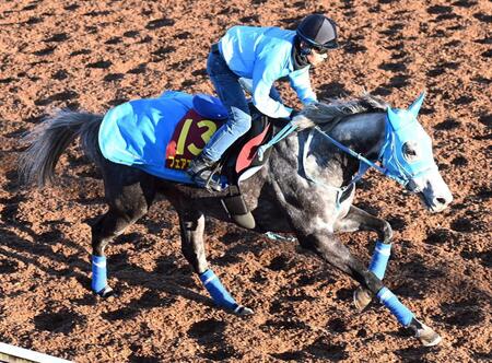 【エリザベス女王杯】フェアエールング　目を引く動きの良さ　Ｇ１初挑戦初タイトルへ和田郎師「完成の域」
