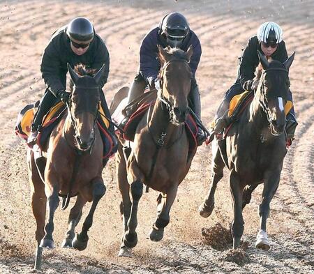 【エリザベス女王杯】昨年５着のレガレイラ 雪辱へ１馬身先着　木村師「設計図通りに」いざ３度目Ｇ１奪取へ