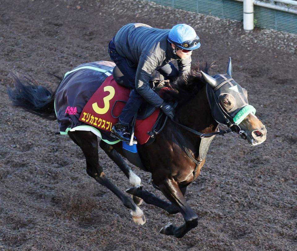 　武豊を背に栗東坂路で追い切るエリカエクスプレス（撮影・中田匡峻）