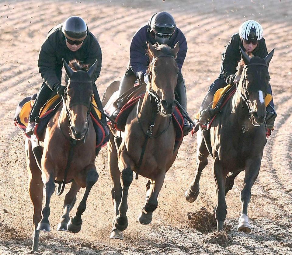 　文句なしの態勢を整えたレガレイラ（中央）＝撮影・園田高夫