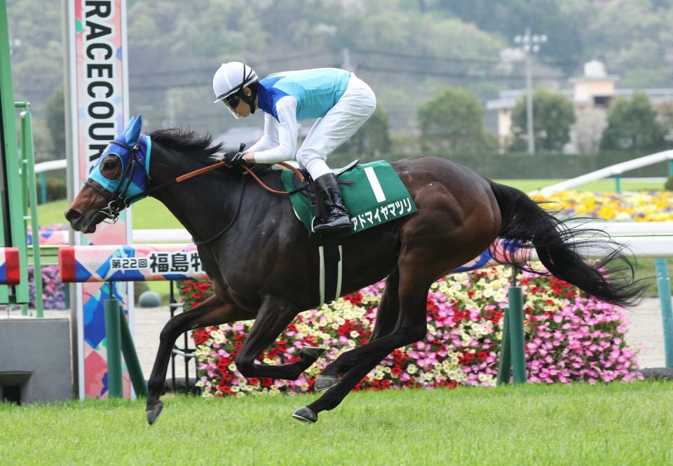 アドマイヤマツリ