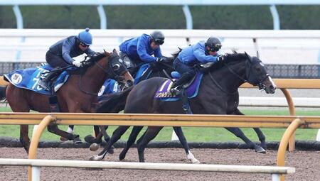 　連覇へ向けて順調な仕上がりを見せるソウルラッシュ（右）＝撮影・中田匡峻