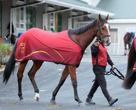 　盤石の態勢で初陣を迎えるロングトールサリー