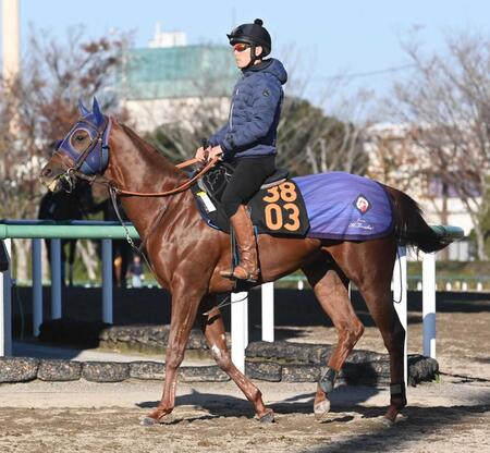 　芝短距離の大物として期待されるダノンマスタング（撮影・園田高夫）