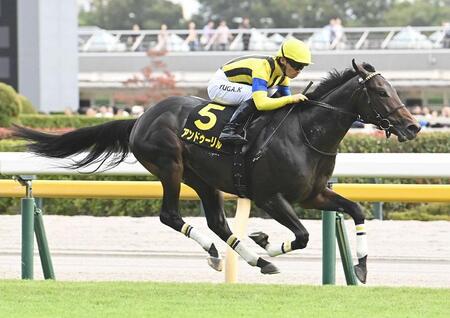　アイビーステークスを勝利したアンドゥーリル＝１０月１８日
