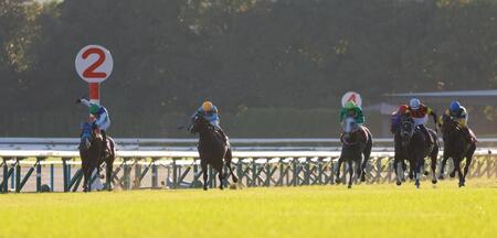 　残り一ハロンでカヴァレリッツォ（中央）とのマッチレースに持ち込むアドマイヤクワッズ（左端）＝撮影・石湯恒介