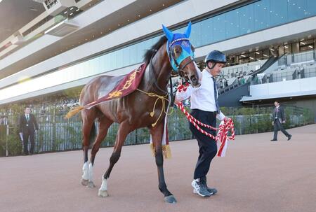 　デイリー杯２歳Ｓを制したアドマイヤクワッズ（撮影・石湯恒介）