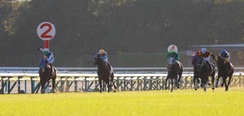 　残り一ハロンでカヴァレリッツォ（中央）とのマッチレースに持ち込むアドマイヤクワッズ（左端）＝撮影・石湯恒介