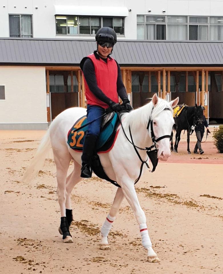 　アオラキ＝２２年６月