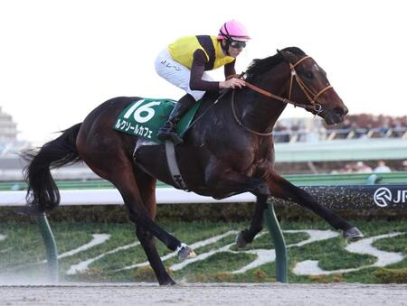 　武蔵野Ｓを勝利したルクソールカフェ