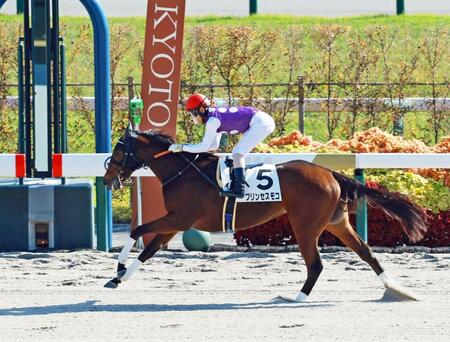 　新馬戦を快勝したプリンセスモコ（撮影・石湯恒介）
