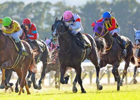 　アンドロメダＳを制したウエストナウ（撮影・石湯恒介）