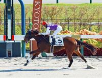 　新馬戦を快勝したプリンセスモコ（撮影・石湯恒介）