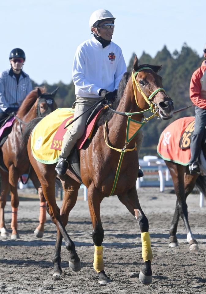 シンリョクカ＝１２日