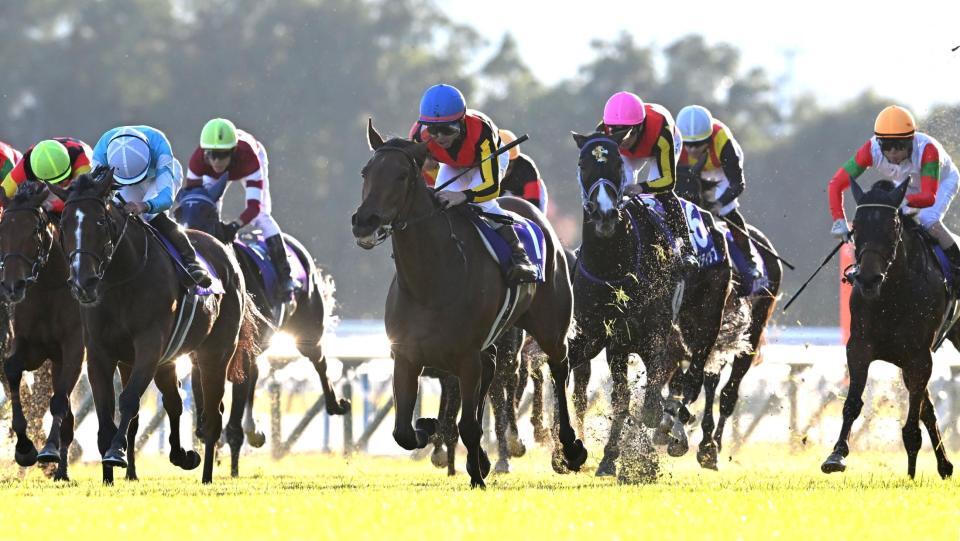 　エリザベス女王杯を制したレガレイラ（中央）＝撮影・飯室逸平