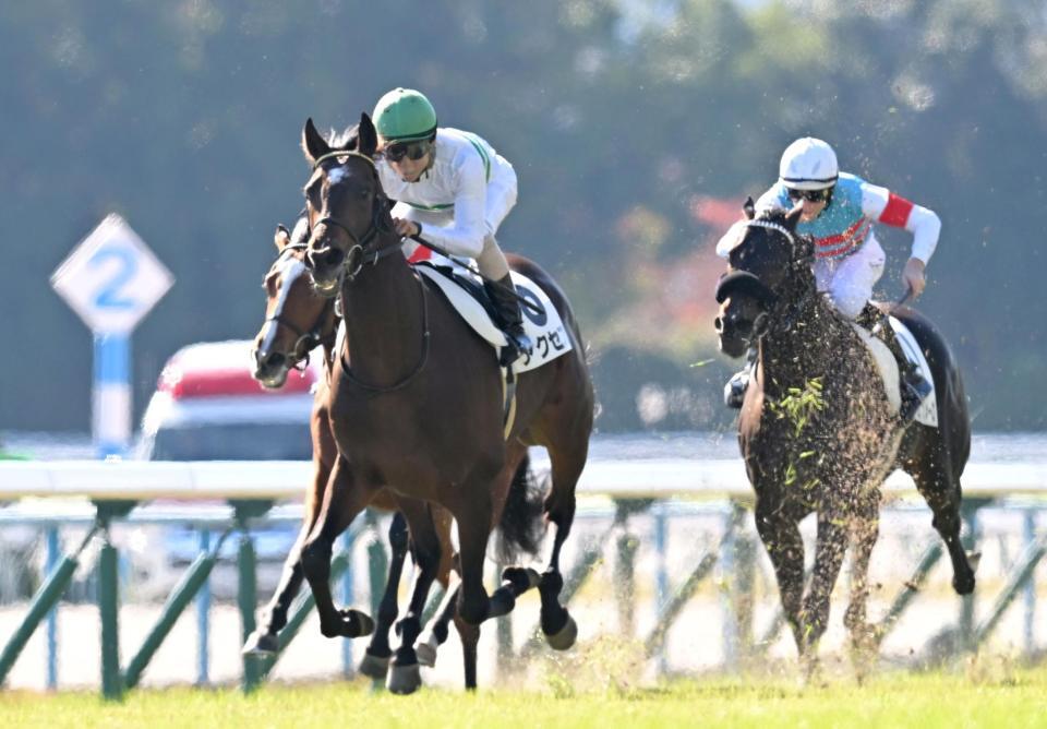 　新馬戦を勝利したアクセス（撮影・飯室逸平）