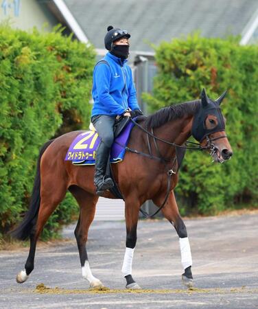 　切れ味を武器に一発を狙うワイドラトゥール