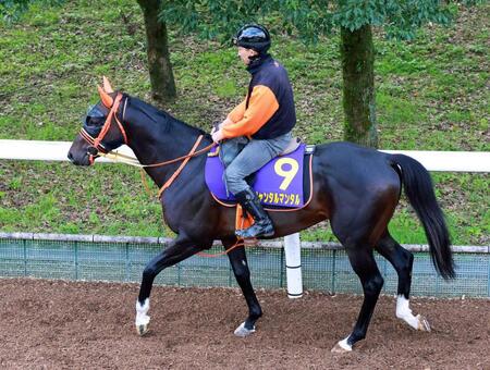 　春秋マイルＧ１制覇を狙うジャンタルマンタル