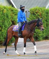 　切れ味を武器に一発を狙うワイドラトゥール