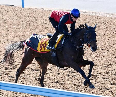 【福島記念】ニシノティアモ　抜群の動き　連勝の勢い十分　上原佑師も期待「楽しみ大きい」