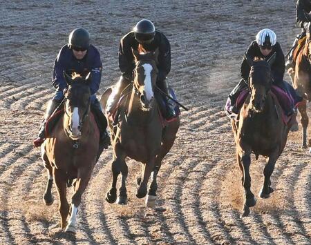 【マイルCS】チェルヴィニア 女王復権へ手応えアリ 木村師「厩舎一丸となって」総力戦で臨む