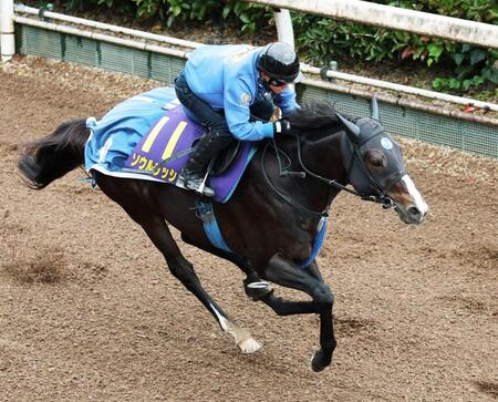 【マイルCS】ソウルラッシュ 逆襲の秋!7歳元気いっぱい 連覇へ準備万端 池江師「何事もなく順調」