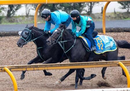 【マイルCS】アスコリピチェーノ 万全の仕上げ 動きは文句なし 黒岩師もご満悦「今回は回復が良好」