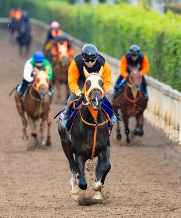 【マイルCS】ジャンタルマンタル 全てが完璧 史上初の牡牝混合芝マイルG1完全制覇へ 川田も自信「この馬が一番強い」