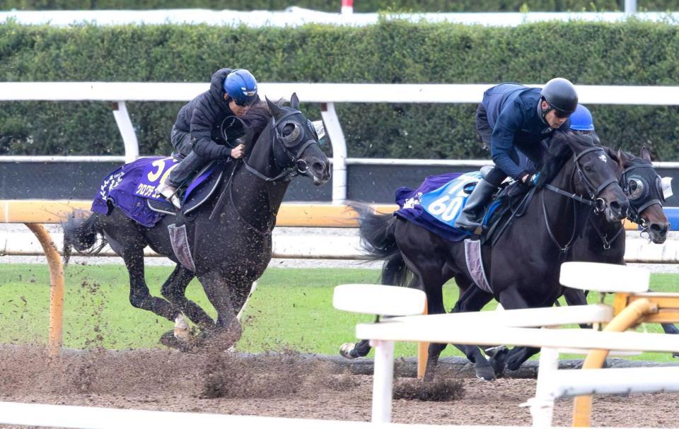 ジャパンC】クロワデュノール まだ良化途上 出走は来週まで持ち越し