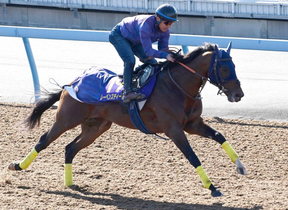　美浦Ｗで単走で追い切られたレーベンスティール（撮影・持木克友）