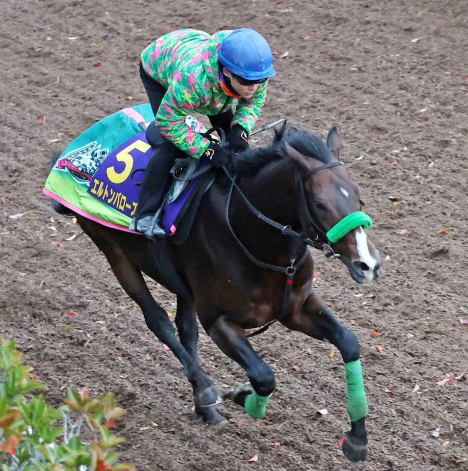 　栗東坂路で追い切るエルトンバローズ（撮影・中田匡峻）