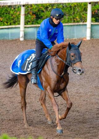 　初陣Ｖを狙うスカイスプレンダー（撮影・石湯恒介）