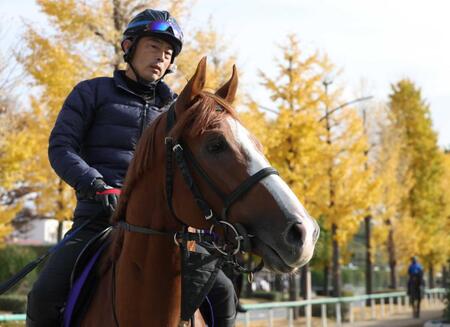 　３年半ぶりにマイル戦に出走するトウシンマカオ