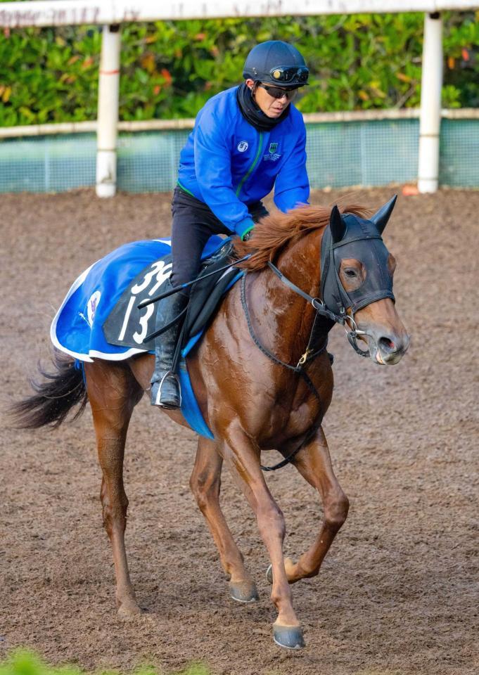 　初陣Ｖを狙うスカイスプレンダー（撮影・石湯恒介）