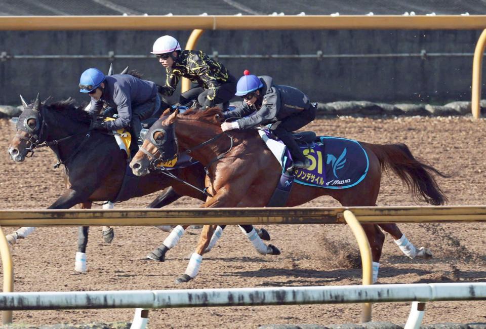　半馬身遅れも順調に調整が進んでいるダノンデサイル（手前）＝撮影・中田匡峻