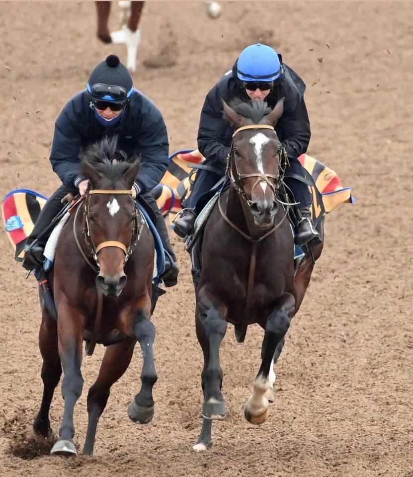 　レーンを背に万全の仕上げをアピールしたダノンヒストリー（右）＝撮影・持木克友