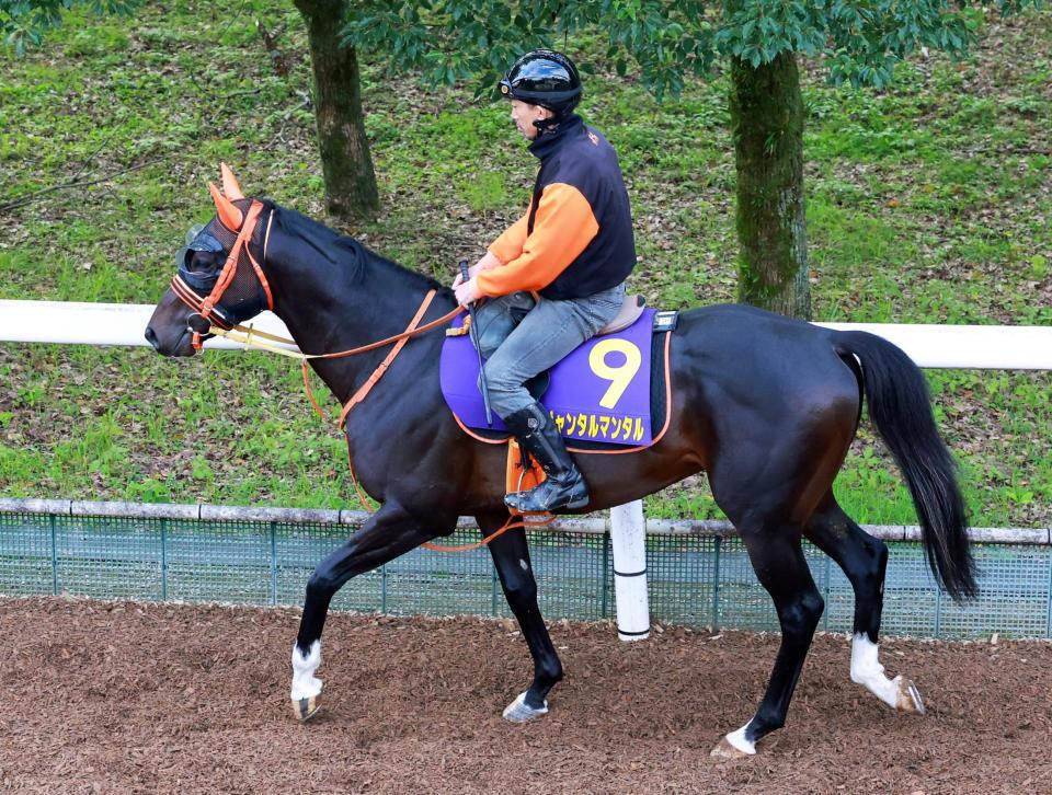 　ジャンタルマンタル