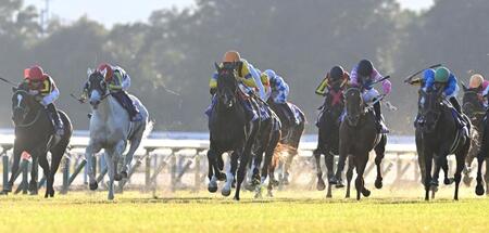 　マイルＣＳを制したジャンタルマンタル（中）＝撮影・飯室逸平